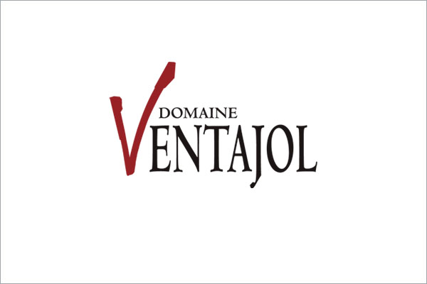 création de site internet domaine viticole